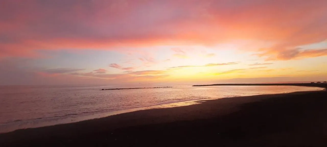 Bonny House Los Cristianos Sea View Free Wifi Arona  Spain